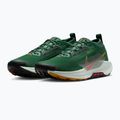 Pánske bežecké topánky Nike Pegasus Trail 5 GORE-TEX fir/bright crimson/clay green 7