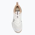 Pánske tréningové topánky Nike Air Max Alpha Trainer 6 sail/baroque brown/hemp/desert dust 5