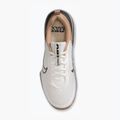 Pánske tréningové topánky Nike Air Max Alpha Trainer 6 sail/baroque brown/hemp/desert dust 6