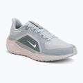 Pánske bežecké topánky Nike Pegasus 41 GTX light pumice/pure platinum/silt red/metal silver
