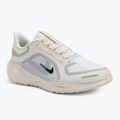 Pánske bežecké topánky Nike Pegasus 41 GTX sail/football grey/sundial/ashen slate