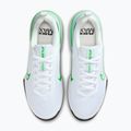Pánska tréningová obuv Nike Air Max Alpha Trainer 6 white/glacier blue/green strike 5