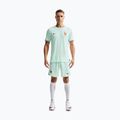 Pánske futbalové šortky Nike FFF 2026 Match Away Aero-FIT igloo/monarch/monarch 2