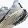 Pánske bežecké topánky Nike Pegasus Plus pure platinum/wolf grey/sail/anthracite 10
