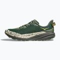 Pánske bežecké topánky HOKA Speedgoat 6 fern/asphalt grey 3