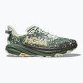Pánske bežecké topánky HOKA Speedgoat 6 GTX sea flass/fern 2