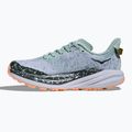 Dámske bežecké topánky HOKA Speedgoat 6 GTX jade/ash grey 3