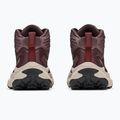 Pánske turistické topánky HOKA Transport Hike GTX deep mauve/smoky quartz 6