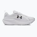 Pánske bežecké topánky Under Armour Assert 11 biele/čierne/distant gray