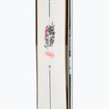 Pánsky snowboard Salomon Assassin 5