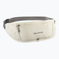 Bežecký pás Salomon Pulse Sling icicle / castlerock