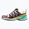 Pánske bežecké topánky Salomon XA PRO 3D V9 GTX transparent yellow/black/waterfall 9
