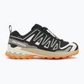 Pánske bežecké topánky Salomon XA PRO 3D V9 GTX black/vanilla ice/turmeric 2