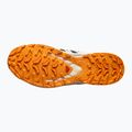 Pánske bežecké topánky Salomon XA PRO 3D V9 GTX black/vanilla ice/turmeric 11
