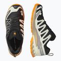 Pánske bežecké topánky Salomon XA PRO 3D V9 GTX black/vanilla ice/turmeric 12