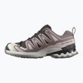 Dámske bežecké topánky Salomon XA PRO 3D V9 GTX black/patina green/gray violet 9