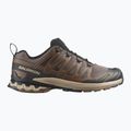 Buty do bieganie męskie Salomon XA Pro 3D V9 falcon/desert tan/black 2