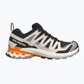 Pánske bežecké topánky Salomon XA Pro 3D V9 black/gull