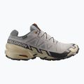 Pánske bežecké topánky Salomon Speedcross 6 GTX gull/white pepper/black 2