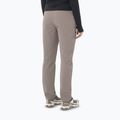 Dámske trekingové nohavice Salomon Wayfarer Warm iron 2