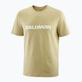 Pánske tričko Salomon Logo gray green 3