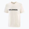 Pánske tričko Salomon Logo whisper white 3