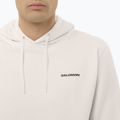 Pánska mikina Salomon Chest Logo Hoodie whisper white 3