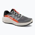 Pánske bežecké topánky Salomon Alphaglide GTX castlerock/lunar rock