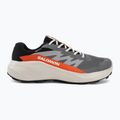 Pánske bežecké topánky Salomon Alphaglide GTX castlerock/lunar rock 2