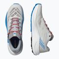 Pánske bežecké topánky Salomon Pulsar lunar rock/white/french blue 8