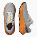 Pánske bežecké topánky Salomon Ultra Flow 2 GTX gull/turmeric/white pepper 8
