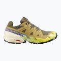 Pánske bežecké topánky Salomon Speedcross 6 GTX grape leaf/aspargus green