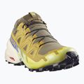 Pánske bežecké topánky Salomon Speedcross 6 GTX grape leaf/aspargus green 2