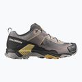 Pánske trekingové topánky Salomon X Ultra 5 cloudburst/black/willow