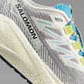 Pánske bežecké topánky Salomon Aero Blaze 3 GRVL vanilla ice/ojos del salar/black 8