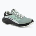 Dámske bežecké topánky Salomon Alphaglide GTX green milieu/asphalt