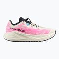 Pánske bežecké topánky Salomon Aero Glide 4 GRVL vanilla ice/knockout pink/black 8