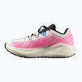 Pánske bežecké topánky Salomon Aero Glide 4 GRVL vanilla ice/knockout pink/black 9
