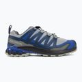 Pánske bežecké topánky Salomon XA Pro 3D V9 wrought iron/spellbound 2