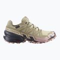 Dámske bežecké topánky Salomon Speedcross 6 GTX eucalyptus/slate green