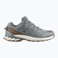 Pánske bežecké topánky Salomon XA Pro 3D V9 GTX Lifelong sedona sage/coyote brown