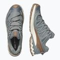 Pánske bežecké topánky Salomon XA Pro 3D V9 GTX Lifelong sedona sage/coyote brown 3