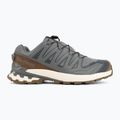 Pánske bežecké topánky Salomon XA Pro 3D V9 GTX Lifelong sedona sage/coyote brown 2
