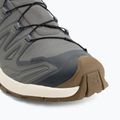 Pánske bežecké topánky Salomon XA Pro 3D V9 GTX Lifelong sedona sage/coyote brown 7