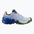 Pánske bežecké topánky Salomon Speedcross 6 GTX Icon brunnera blue/surf the web