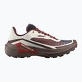 Pánske bežecké topánky Salomon Genesis 2 vanilla ice/iron