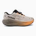 Dámske bežecké topánky Salomon Aero Blaze 4 GRVL GTX rainy day/black 2