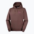 Pánska bežecká mikina Salomon Shortney Hoodie shopping bag