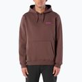 Pánska bežecká mikina Salomon Shortney Hoodie shopping bag 2