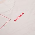Pánske bežecké tričko Salomon S\Lab Speed Tee SS lilac ash 3